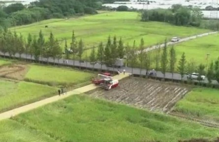 丰收中国·浙江浦江：稻作全程机械化 农业生产越来越高效