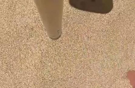 世界粮食日：科技储粮 筑牢粮食安全压舱石