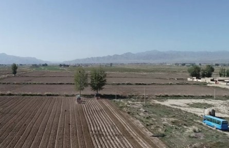 甘肃金昌永昌县：降解地膜帮大忙 白色污染悄无踪