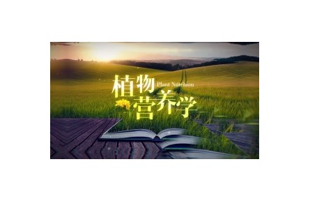 植物营养学与农业生产（系列讲座视频）