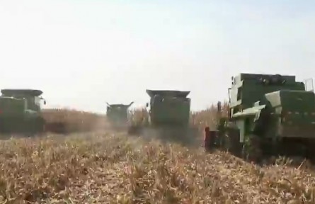 黑龙江：变“丰收在田”为“丰收进仓”