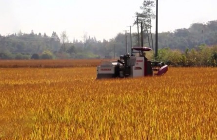 我国粮食应急保障体系初步建立