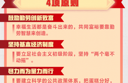 “13416”，习近平的共同富裕大布局
