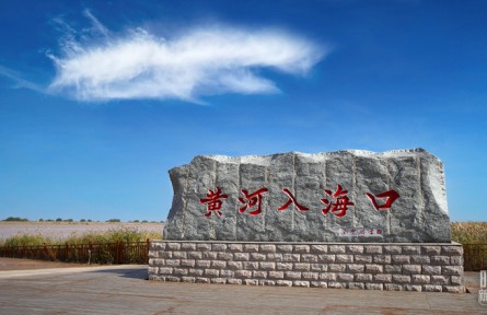 习近平赴山东考察，为何首站来到黄河入海口