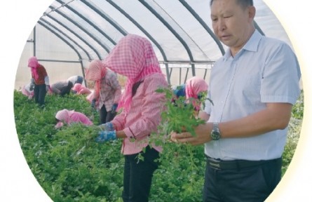 宁夏石嘴山蒋洪波：领着大家干，帮着大家赚