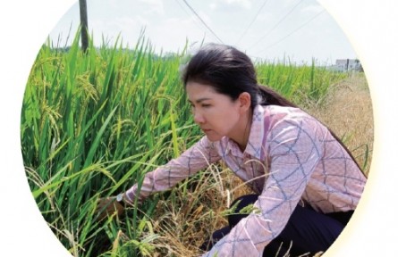湖南岳阳董敏芳：让农民种田更轻松