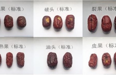 93、成果名称:红枣质量检验分级与标准化技术服务
