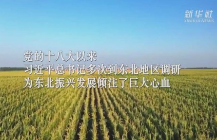 习近平总书记谋划推动东北全面振兴谱写新篇章