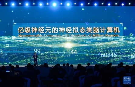 千帆竞发势如虹——习近平总书记谋划推动东部率先发展谱写新篇章