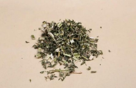 学认中药材：益母草