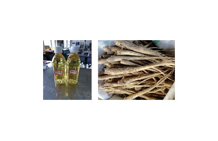 38、成果名称：澄清型桔梗汁加工关键技术