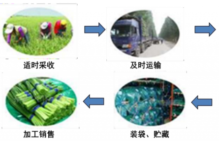 13、成果名称：大宗蔬菜简约物流保鲜技术
