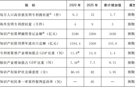 国务院关于印发“十四五”国家知识产权保护和运用规划的通知