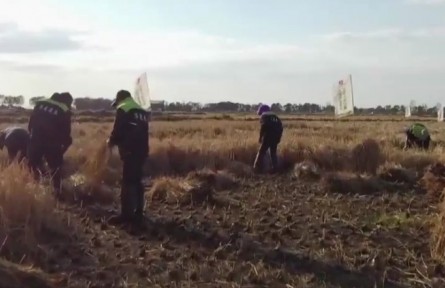 黑龙江：好粮，源于标准