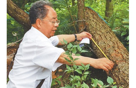 西南林业大学教授李乡旺：扎根云岭 守护青山