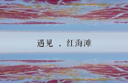 世界最大的红海滩，在中国
