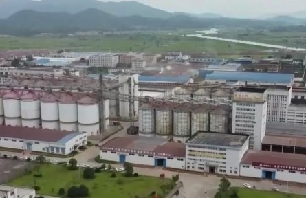 国家粮食和物资储备局：新推出五项举措 持续优化为农服务