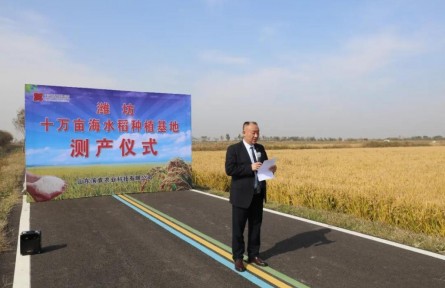 山东省潍坊市寒亭区高里街道：昔日盐碱地 今日聚宝盆