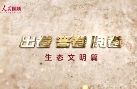 “为什么说绿水青山就是金山银山？”