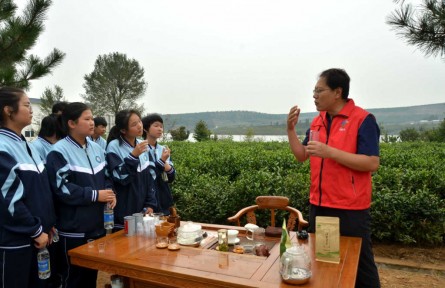 山东省临沂市费县梁邱镇：“茶博士”下乡为乡村振兴注入“源头活水”
