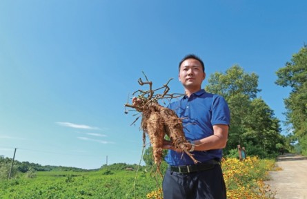 湖北襄阳尹为：返乡创业种葛根 带领乡亲一起富