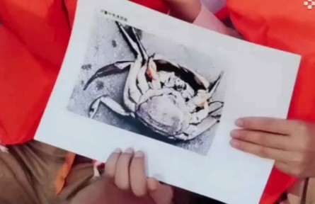 大閘蟹甲殼潰瘍病是怎樣引起的