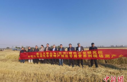 浙江大学成果在临沂落地 “真打粮”可使水稻亩增产83斤