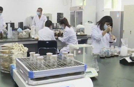 黑龙江：接续奋斗 征程再启