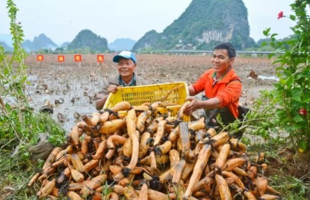 前三季度广东第一产业固定投资同比增长近五成，八大举措扩大有效投资