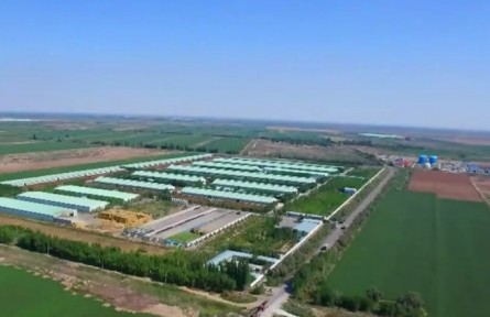 新疆：发展特色乳产业 打造奶业新增长点