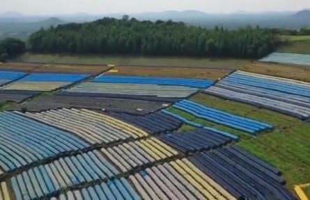 吉林东部地区因地制宜 发展特色农业