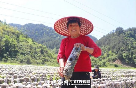 贵州铜仁：发展生态循环农业 促进增产增收