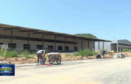陕西黄陵县：冷链物流带动农业转型