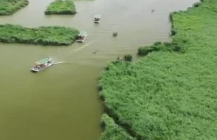 保护与发展并重 走好吉林生态发展绿色路