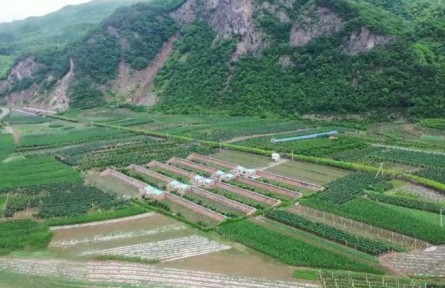 吉林长白县：发展特色产业 推动乡村振兴