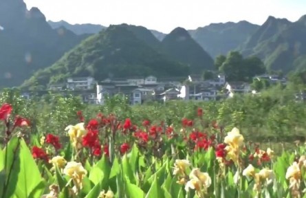 贵州：建设宜居宜业美丽乡村 铺展乡村振兴多彩画卷