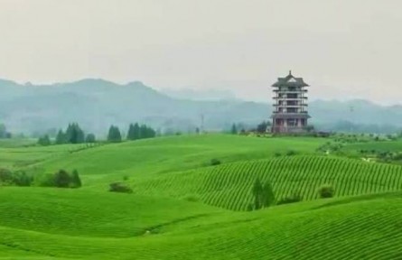 【新征程开局“十四五”】增减之间 绿色成为高质量发展鲜明底色