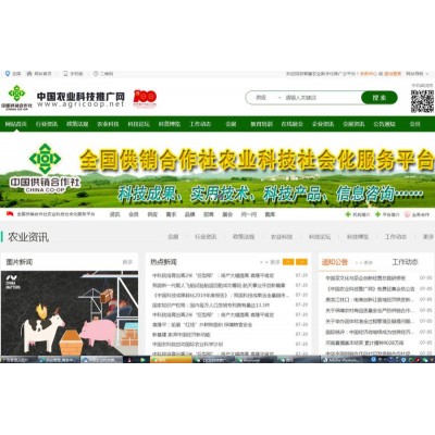 PC+手机移动端“1+1”农村电商网站开发服务