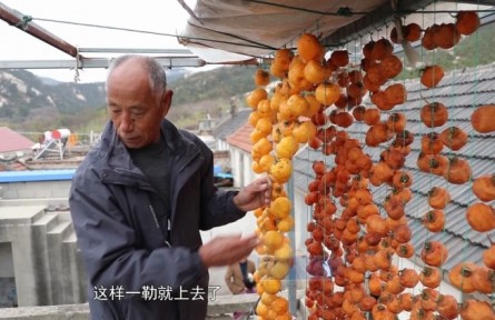 山东烟台牟平区：初冬柿子饼的甜蜜乡愁