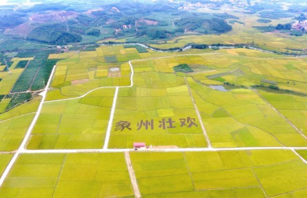 广西：圈定富硒土壤为全国之最