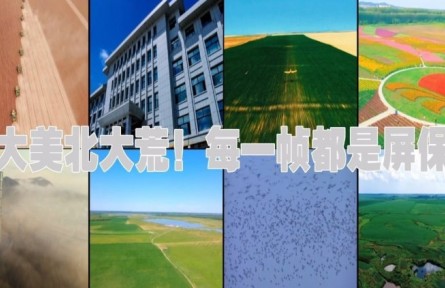 微视频：大美北大荒