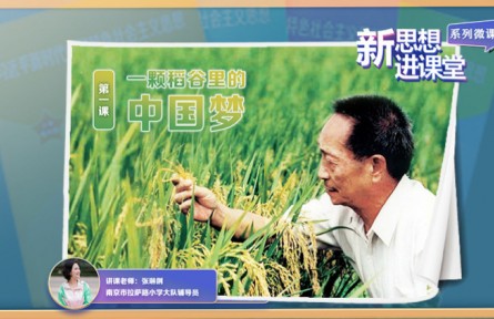 一颗稻谷里的中国梦