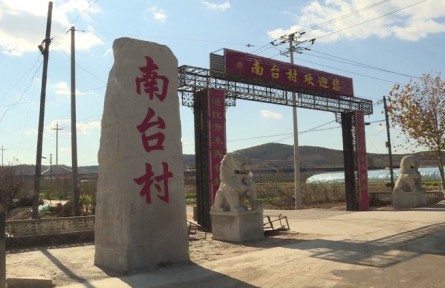 山东省烟台市牟平区南台村：特色种植 搭上致富“快车”