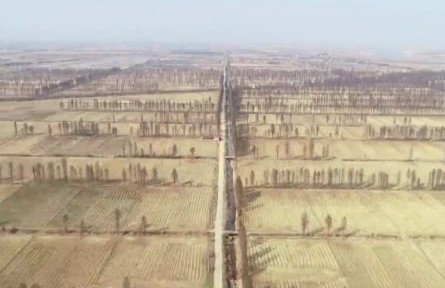 江西南昌新建区：推进秸秆综合利用 “生态包袱”变身“绿色财富”
