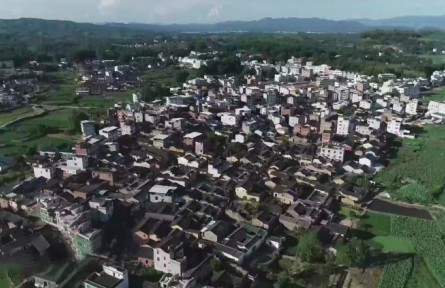 福建：实施乡村振兴战略 加快建设现代农业强省