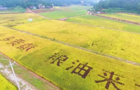 四川巴中恩阳区：智慧种地 藏粮于地