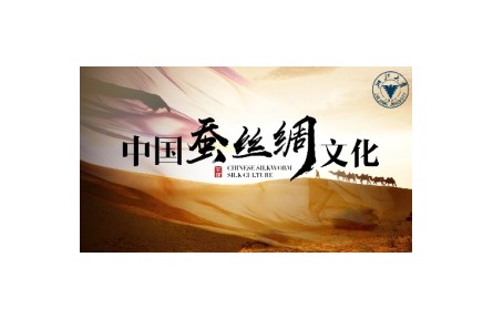 中国蚕丝绸文化（系列讲座视频）
