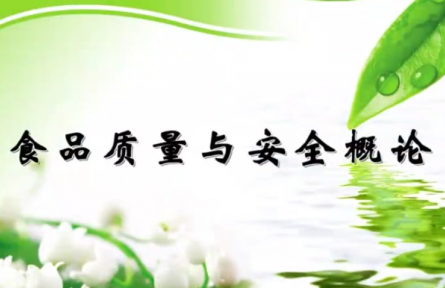 食品质量与安全概论（系列视频教程）