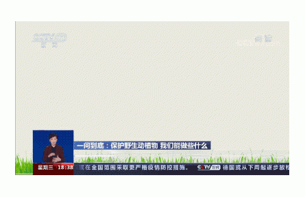 熊猫大事件：五个数！看遍祖国的绿水青山