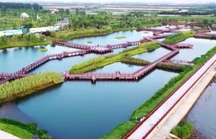 走向生态文明新时代 建设美丽中国